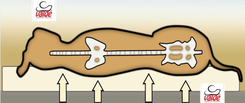 Legowisko Valde - ułożenie psa w trakcie snu